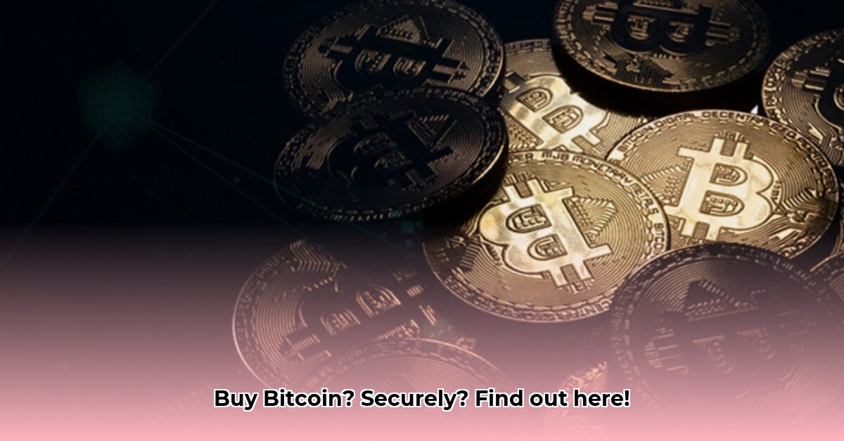 where-to-buy-satoshi